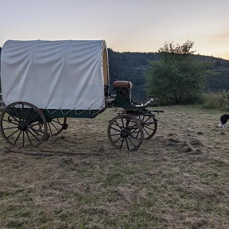 La Caleche Western * Lafarre (Haute-Loire)